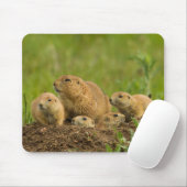 Familie Prairie Dog in Den Mousepad (Mit Mouse)