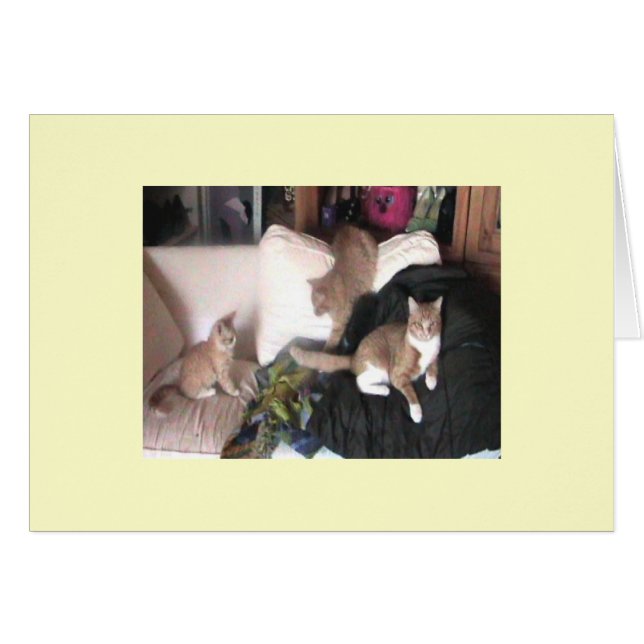 Familie Purrtrait Karte (Vorderseite (Horizontal))