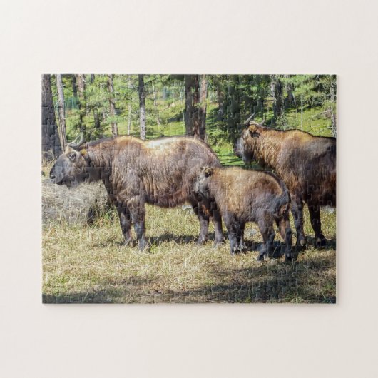 Familie Takin, bhutanisches Landtier, Asien Puzzle (Horizontal)