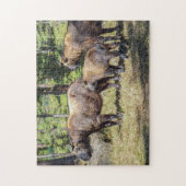Familie Takin, bhutanisches Landtier, Asien Puzzle (Vertikal)