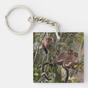 Familie von Marmosetten-Affen Schlüsselanhänger