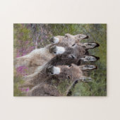 Familie Wild Burro Puzzle (Horizontal)