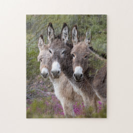 Familie Wild Burro Puzzle