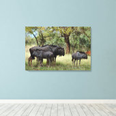 Familie Wildebeest in Südafrika Leinwanddruck (Insitu (Holzboden))