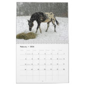 FamilieAppaloosas 2011 Kalender (Feb 2026)