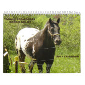 FamilieAppaloosas 2011 Kalender (Titelbild)