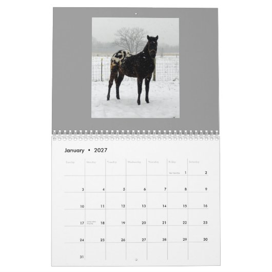 FamilieAppaloosas 2011 Kalender (Jan 2027)