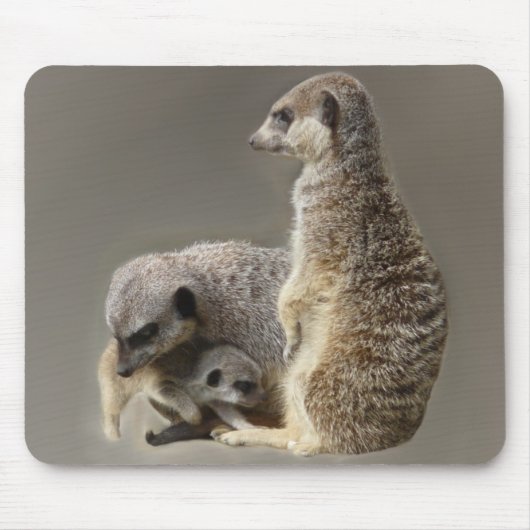 Familien-Krawatten Mousepad (Vorne)