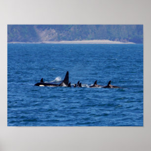 Familien zusammenhalten poster