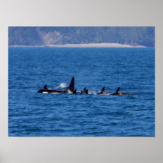 Familien zusammenhalten poster (Vorne)