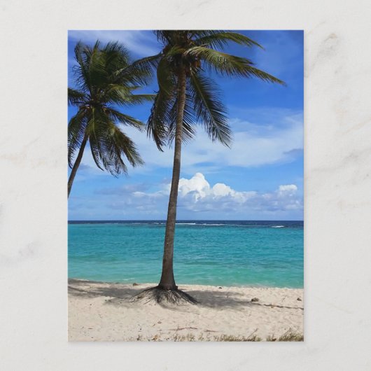 Familienausflug Beach Urlaub Guadeloupe Karibik Postkarte (Vorderseite)