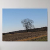 Familienbaum Poster (Vorne)