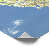 Familienbaum Weißblühendes Foto | Blue Sky Poster (Ecke)