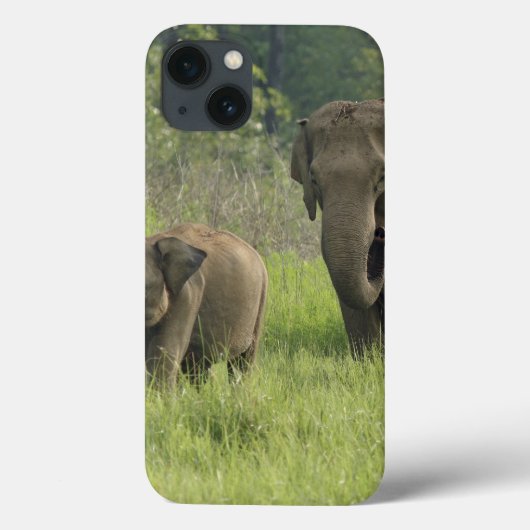 Familienherauskommen des indischen Elefanten Case-Mate iPhone Hülle (Rückseite)