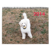 Familienkalender Kalender (Titelbild)