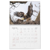Familienkalender von Bald Eagle Kalender (Feb 2027)