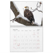 Familienkalender von Bald Eagle Kalender (Jan 2027)