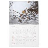 Familienkalender von Bald Eagle Kalender (Mär 2027)