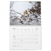 Familienkalender von Bald Eagle Kalender (Mär 2026)