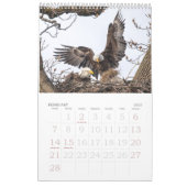 Familienkalender von Bald Eagle Kalender (Feb 2027)