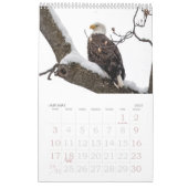 Familienkalender von Bald Eagle Kalender (Jan 2027)