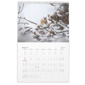 Familienkalender von Bald Eagle Kalender (Mär 2026)