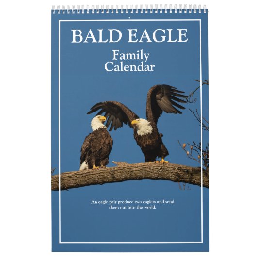 Familienkalender von Bald Eagle Kalender (Titelbild)
