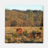 Familienzeit....... Magnet (Vorne)