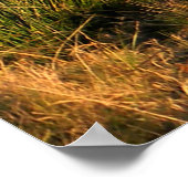 Familienzeit......... Poster (Ecke)