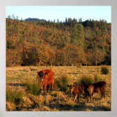 Familienzeit......... Poster (Vorne)