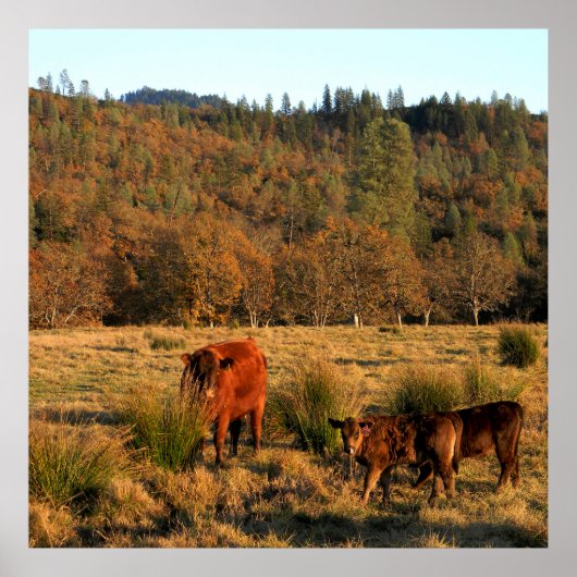 Familienzeit......... Poster (Vorne)