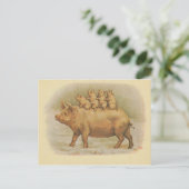 Famille de Cochon Postkarte (Stehend Vorderseite)