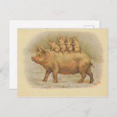 Famille de Cochon Postkarte (Vorne/Hinten)