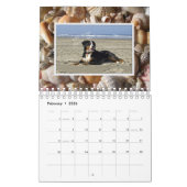 Family Fotos Beach Life Ocean Seashells Kalender (Feb 2026)