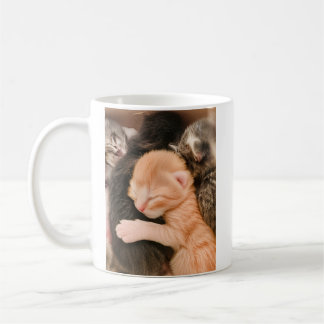 Family Is Everything, Kitten Coffee Mug Kaffeetasse