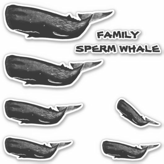 FAMILY SPERM WALE AUFKLEBER (Vorderseite)
