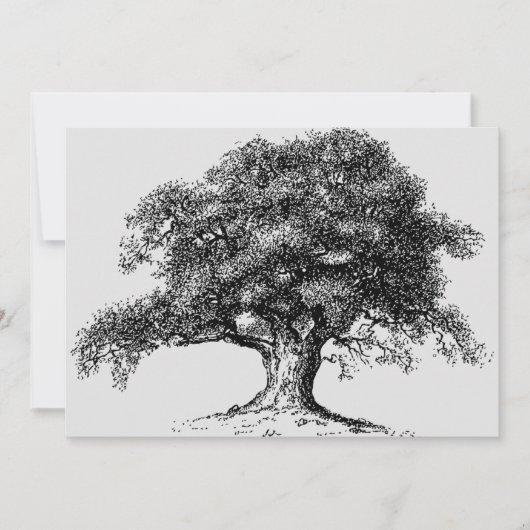 Family Tree Herkunft Wiedersehen Party Grau Ankündigung (Vorderseite)