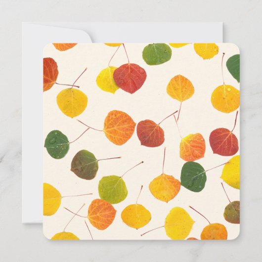 Family Wiedersehen Save the Date Fall Aspen Blätte (Rückseite)