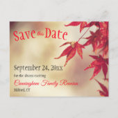 Family Wiedersehen Save the Date Fall Red Blätter  Postkarte (Vorderseite)
