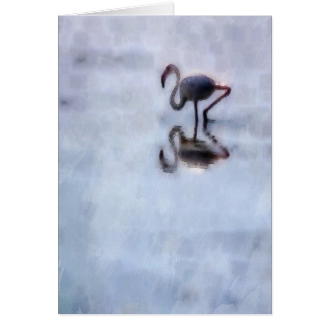 Famingo wandern im Heidelwasser (Vorne)