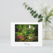 Famous Claude Monet Giverny Pond Lilies Postcard Postkarte (Stehend Vorderseite)