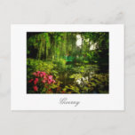 Famous Claude Monet Giverny Pond Lilies Postcard Postkarte<br><div class="desc">Berühmt Claude Monet Giverny,  Frankreich Pond mit Lilies Leinwand Stilisiertes Foto Postcard zu Ihrer Reise Memorabilia Sammlung hinzuzufügen. Ein cooles Geschenk / Geschenkidee für alle,  die individuelle Design personalisierte Gegenstände,  positive Atmosphäre,  Architektur,  Reisen,  alles,  was Französisch,  magische Landschaften,  Natur,  Blume,  Romantik,  Kunst,  Gemälde etc. Liebe.</div>