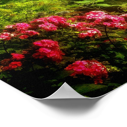 Famous Claude Monet Giverny Pond Lilies Poster (Ecke)