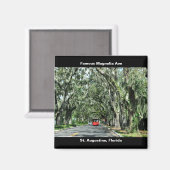 Famous Magnolia Avenue Magnet (Vorderseite/Rückseite)