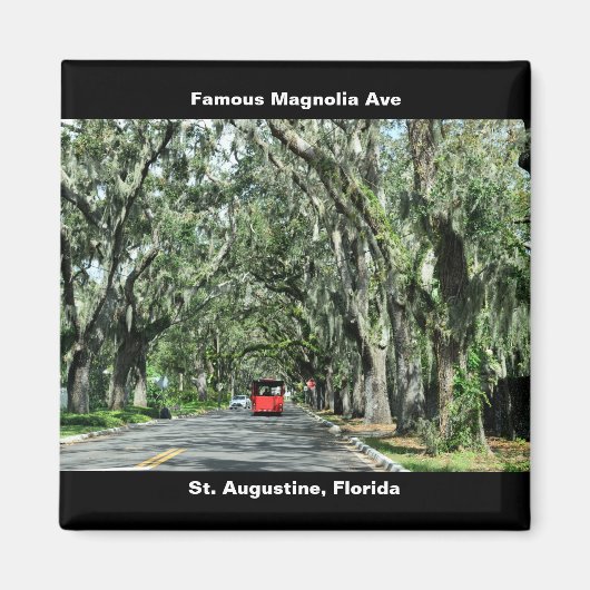 Famous Magnolia Avenue Magnet (Vorne)