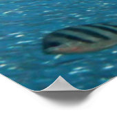 Famous Mermaid Poster (Ecke)