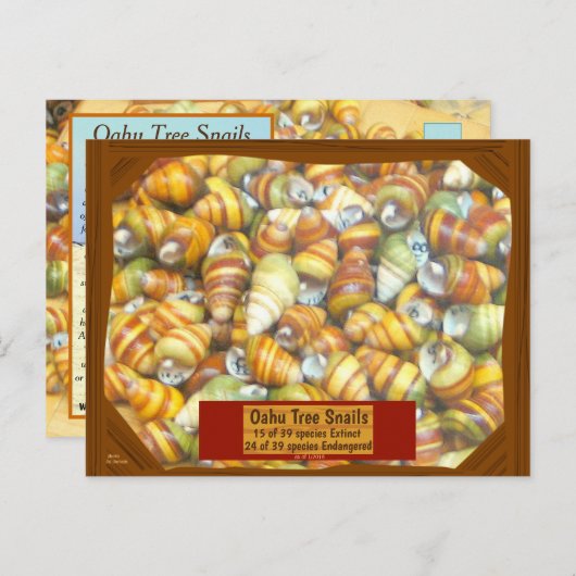 Famous Oahu Tree Snails are Going Fast Less Postkarte (Vorne/Hinten)