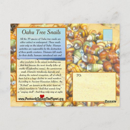 Famous Oahu Tree Snails are Going Fast Less Postkarte (Rückseite)