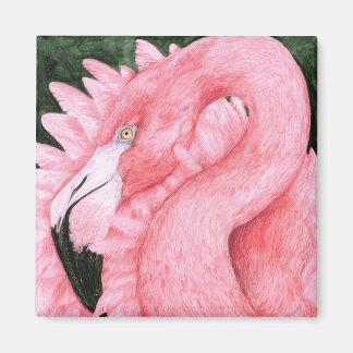Fan Dancer - Flamingo Magnet