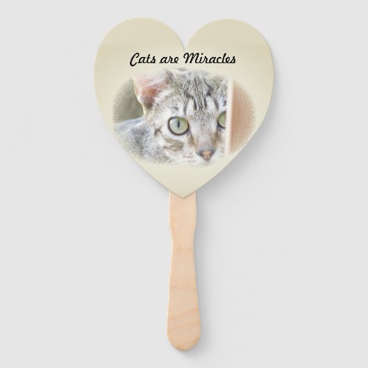 Fan - Das Wunder der Katzen Fächer (Rückseite)